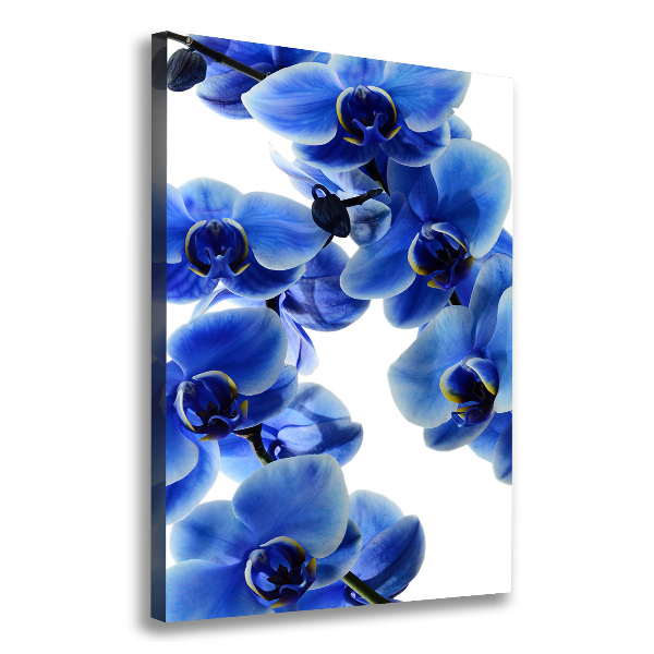 Quadro foto su tela verticale Orchidea blu