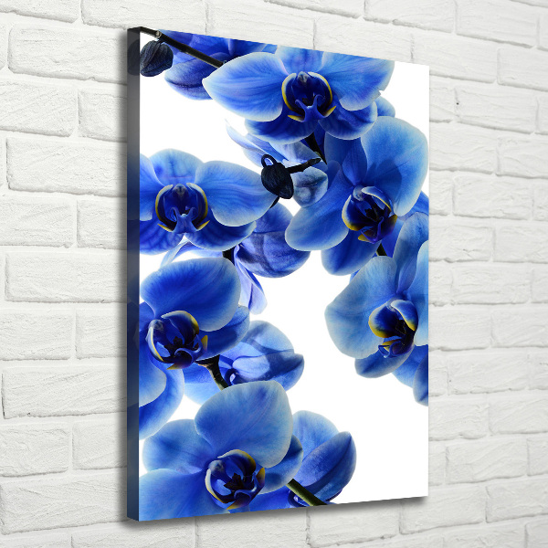 Quadro foto su tela verticale Orchidea blu