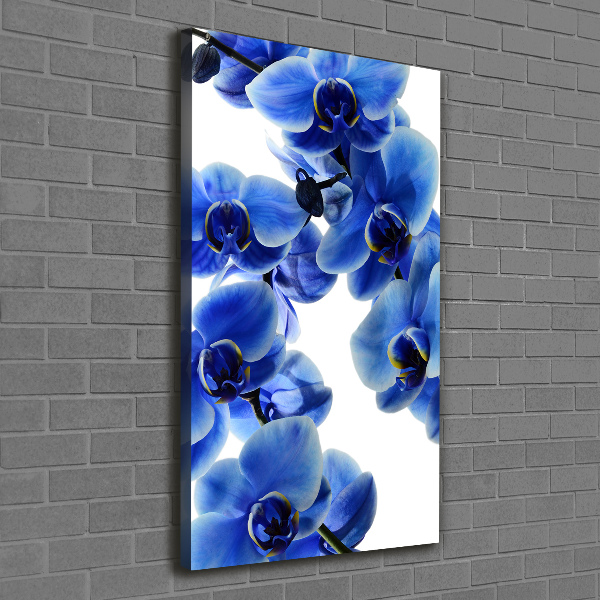 Quadro foto su tela verticale Orchidea blu