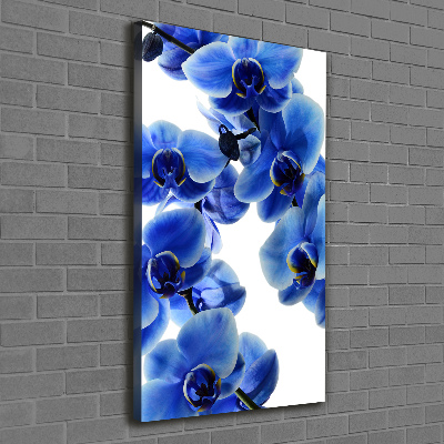 Quadro foto su tela verticale Orchidea blu