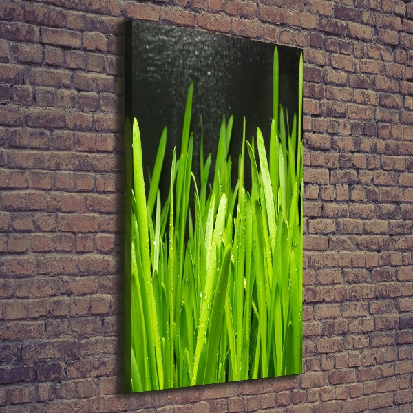 Quadro su tela canvas verticale Fili d'erba