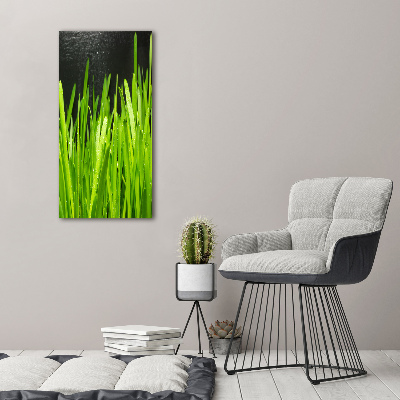 Quadro su tela canvas verticale Fili d'erba