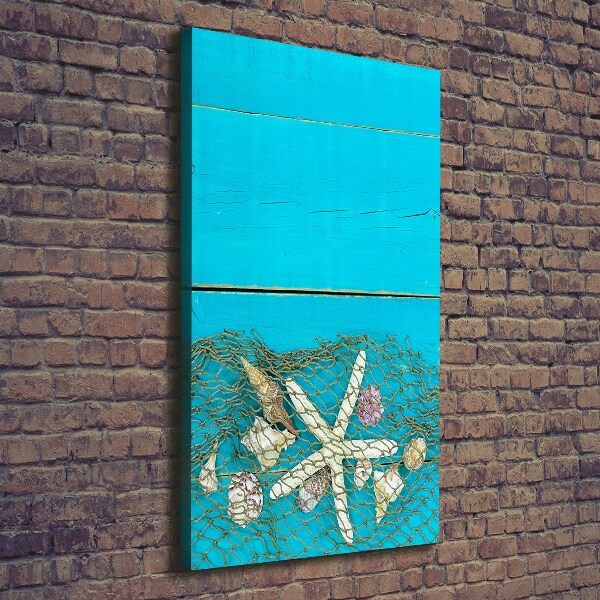 Stampa quadro su tela verticale Conchiglie e stelle marine