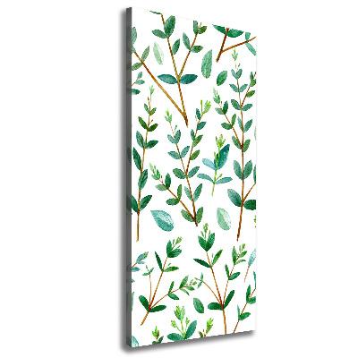 Quadro su tela canvas verticale Rami di eucalipto