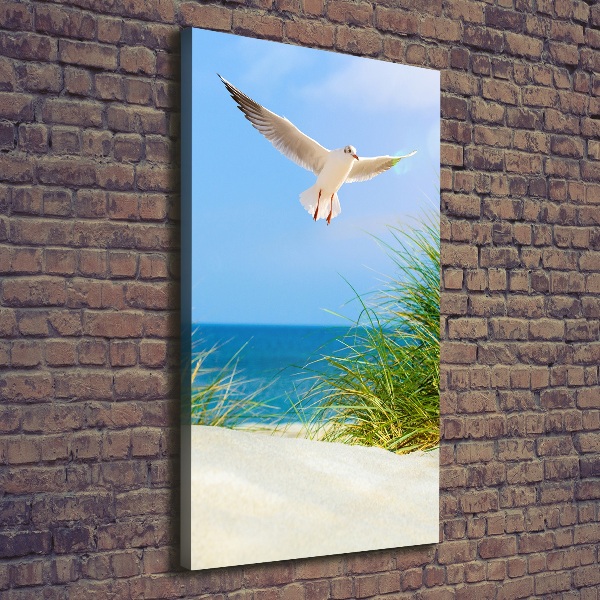 Stampa quadro su tela verticale Gabbiano sopra le dune