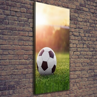 Quadro foto su tela verticale Calcio