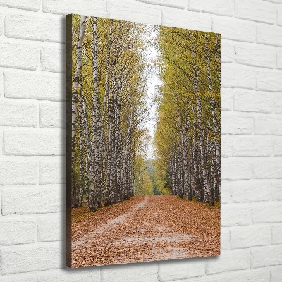 Stampa quadro su tela verticale Foresta di betulle