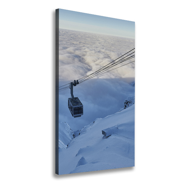 Quadro foto su tela verticale Montagne russe