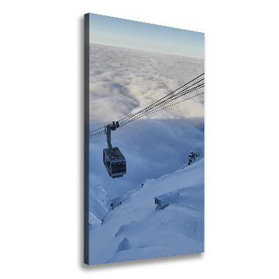 Quadro foto su tela verticale Montagne russe