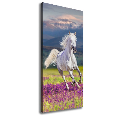 Quadro su tela canvas verticale Un cavallo bianco al galoppo