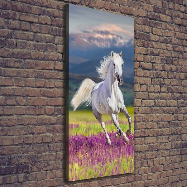 Quadro su tela canvas verticale Un cavallo bianco al galoppo
