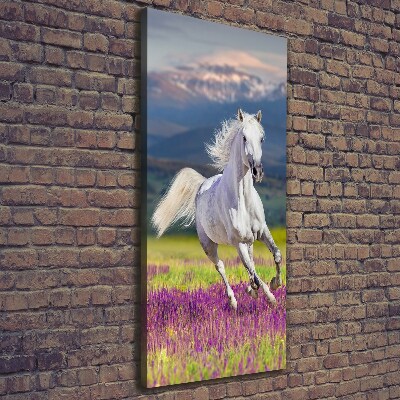 Quadro su tela canvas verticale Un cavallo bianco al galoppo