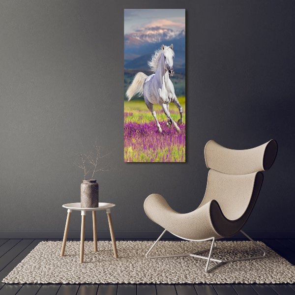 Quadro su tela canvas verticale Un cavallo bianco al galoppo