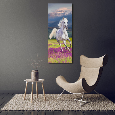Quadro su tela canvas verticale Un cavallo bianco al galoppo