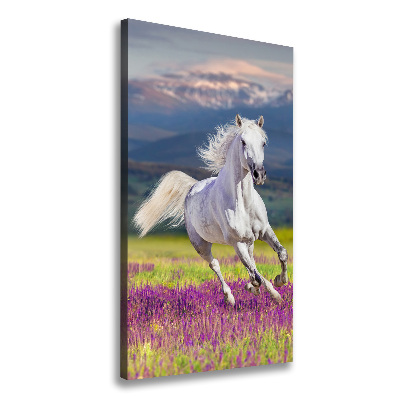 Quadro su tela canvas verticale Un cavallo bianco al galoppo