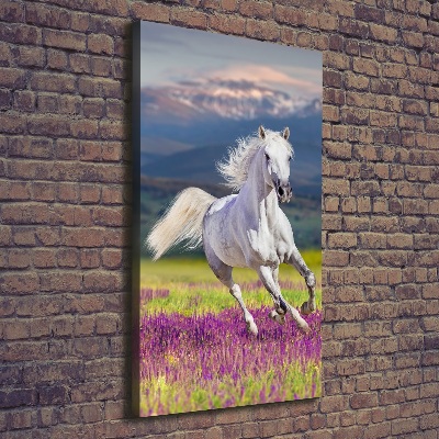 Quadro su tela canvas verticale Un cavallo bianco al galoppo