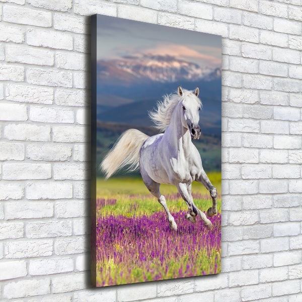 Quadro su tela canvas verticale Un cavallo bianco al galoppo