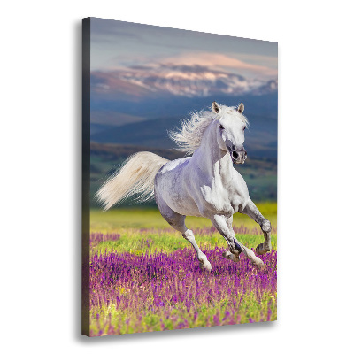 Quadro su tela canvas verticale Un cavallo bianco al galoppo