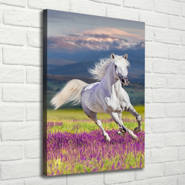 Quadro su tela canvas verticale Un cavallo bianco al galoppo