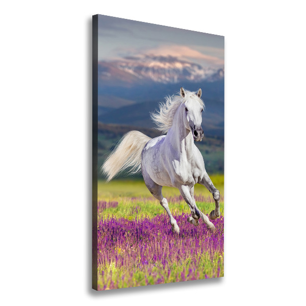 Quadro su tela canvas verticale Un cavallo bianco al galoppo