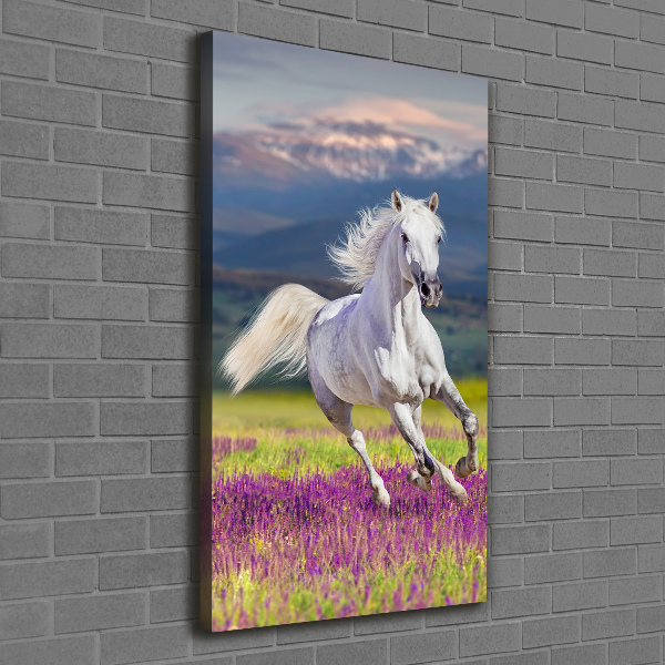 Quadro su tela canvas verticale Un cavallo bianco al galoppo