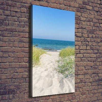 Quadro su tela canvas verticale Dune costiere