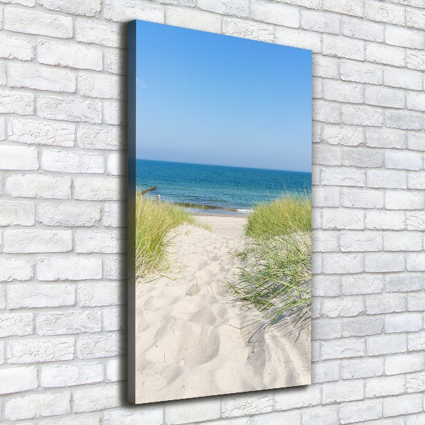 Quadro su tela canvas verticale Dune costiere