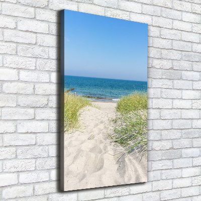 Quadro su tela canvas verticale Dune costiere