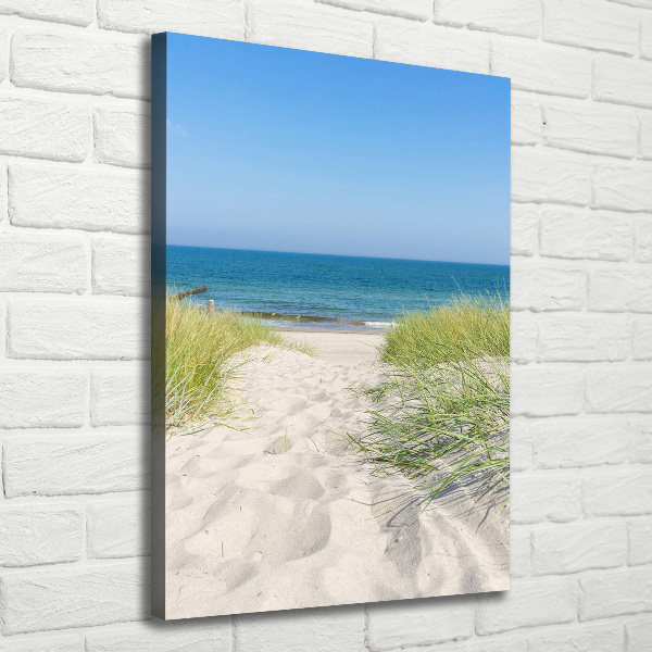 Quadro su tela canvas verticale Dune costiere