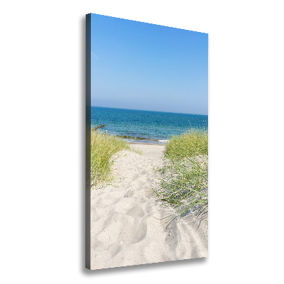 Quadro su tela canvas verticale Dune costiere