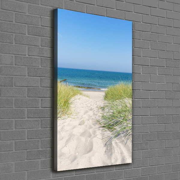 Quadro su tela canvas verticale Dune costiere