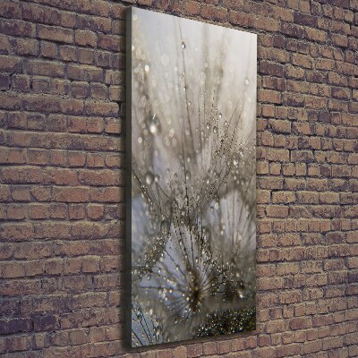 Quadro foto su tela verticale Semi di tarassaco