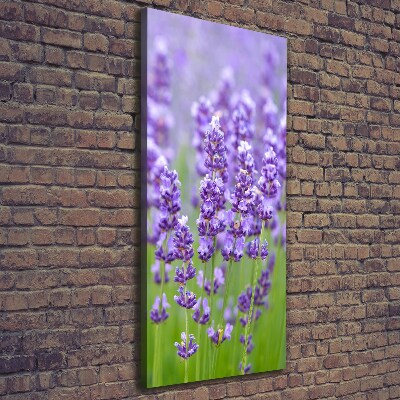 Quadro su tela canvas verticale Campo di lavanda