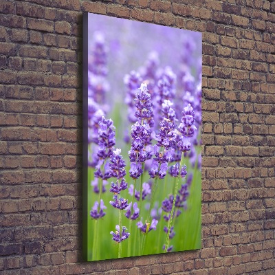 Quadro su tela canvas verticale Campo di lavanda