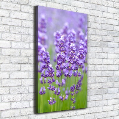 Quadro su tela canvas verticale Campo di lavanda