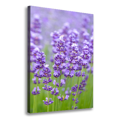 Quadro su tela canvas verticale Campo di lavanda