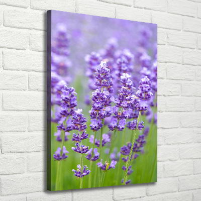Quadro su tela canvas verticale Campo di lavanda