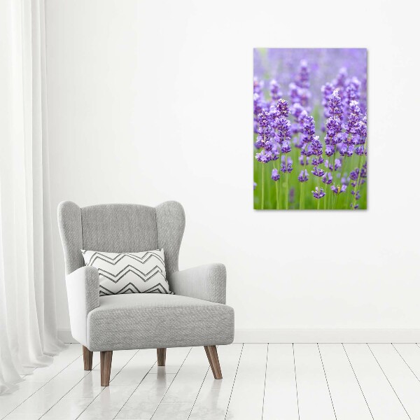 Quadro su tela canvas verticale Campo di lavanda