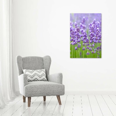 Quadro su tela canvas verticale Campo di lavanda