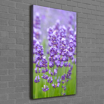 Quadro su tela canvas verticale Campo di lavanda