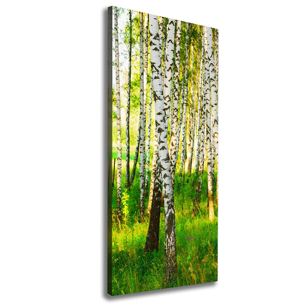 Quadro su tela canvas verticale Foresta di betulle