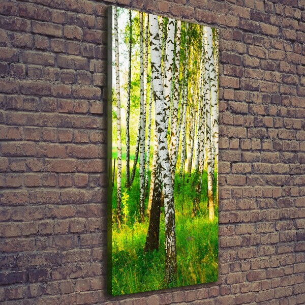 Quadro su tela canvas verticale Foresta di betulle