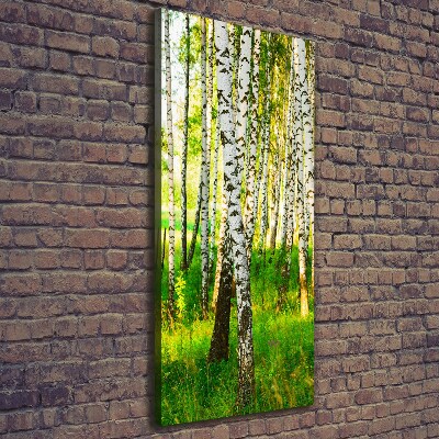 Quadro su tela canvas verticale Foresta di betulle