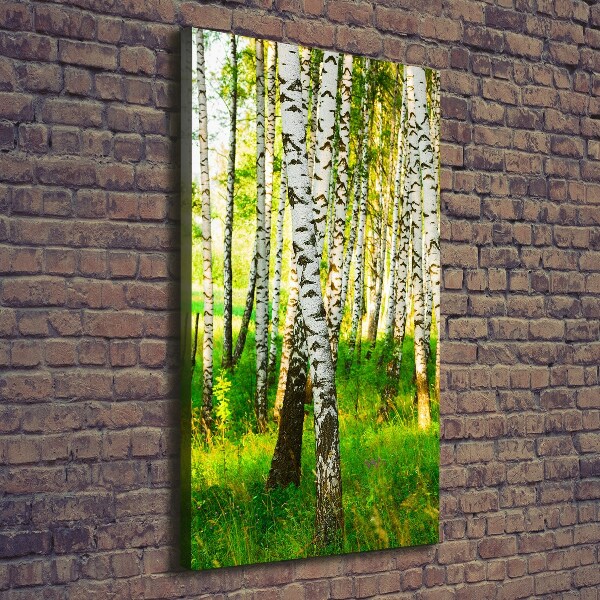 Quadro su tela canvas verticale Foresta di betulle