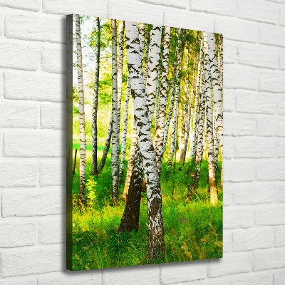Quadro su tela canvas verticale Foresta di betulle