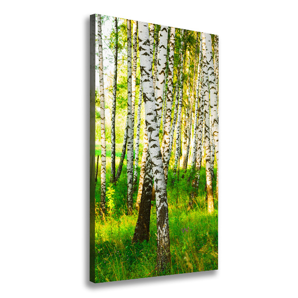 Quadro su tela canvas verticale Foresta di betulle
