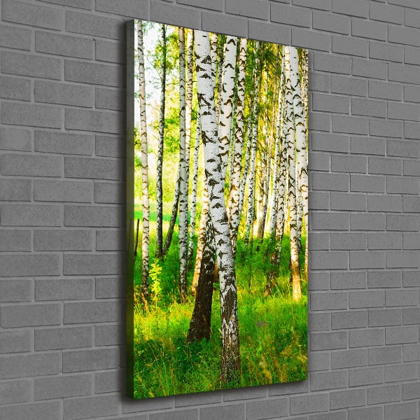 Quadro su tela canvas verticale Foresta di betulle