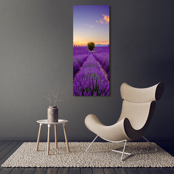 Quadro foto su tela verticale Campo di lavanda