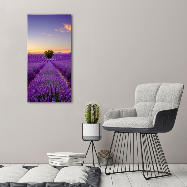 Quadro foto su tela verticale Campo di lavanda