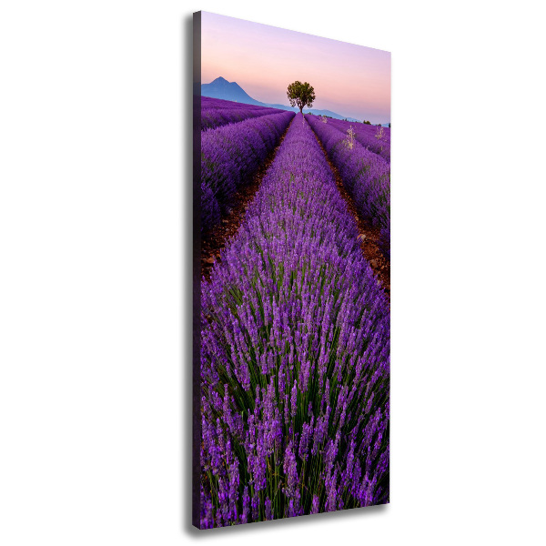 Quadro su tela canvas verticale Campo di lavanda
